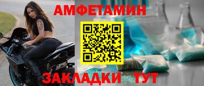 кокс Гатчина