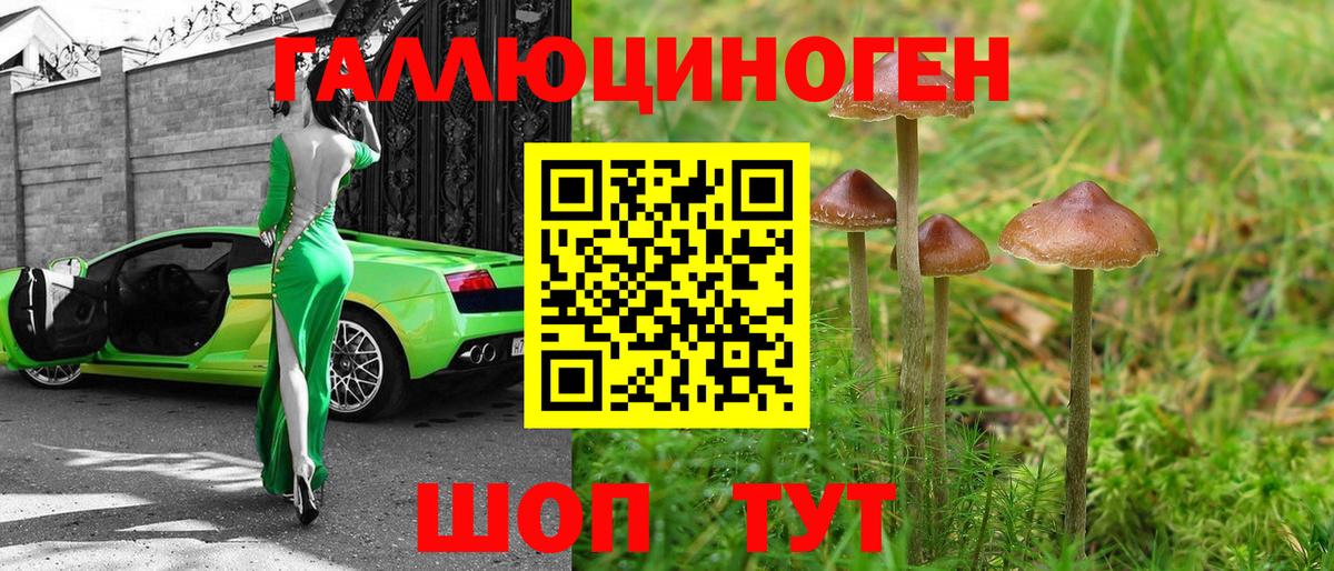 Жуковский  Псилоцибиновые грибы Magic Shrooms  Псилоцибиновые грибы Magic Shrooms  Вход с VPN 